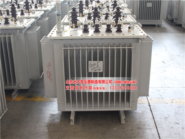德宏S11-6300KVA油浸式变压器
